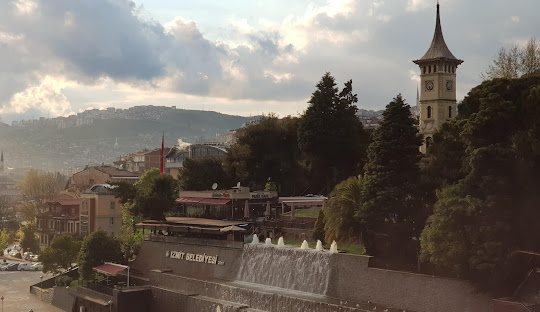 İzmit İlaçlama